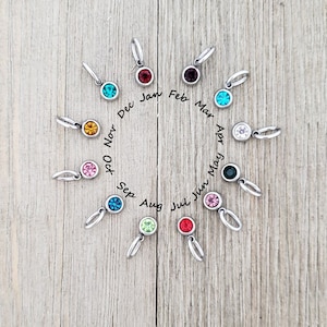 Birthstone Charm Add-on  - Add Crystal Charm - Stainless Steel Birthstone Charm - Charm for Necklaces - 6mm Small Charm