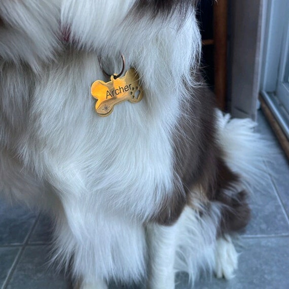 Do Dogs Have To Wear A Rabies Tag