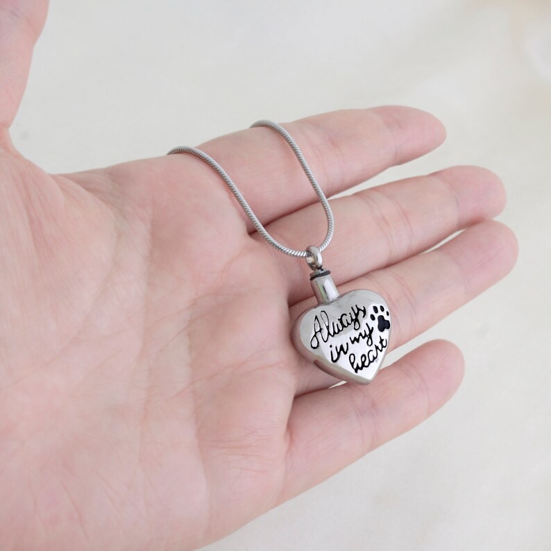 May include: Silver heart-shaped cremation necklace with a paw print and the inscription "Always in my heart".