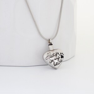 May include: A silver heart-shaped pendant necklace with a paw print and the inscription "Always in my heart".