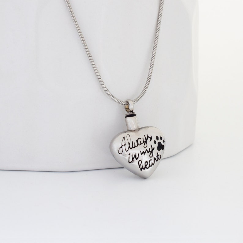 May include: A silver heart-shaped pendant necklace with a paw print and the inscription "Always in my heart".