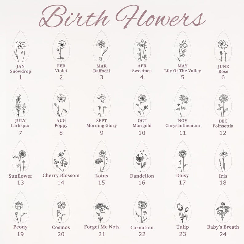 May include: A chart showing the birth flowers for each month of the year. The chart is divided into 12 sections, one for each month. Each section contains a black and white illustration of a flower and the name of the flower. The months are listed in order from January to December. The flowers are: Snowdrop, Violet, Daffodil, Sweetpea, Lily of the Valley, Rose, Larkspur, Poppy, Morning Glory, Marigold, Chrysanthemum, Poinsettia, Sunflower, Cherry Blossom, Lotus, Dandelion, Daisy, Iris, Peony, Cosmos, Forget Me Nots, Carnation, Tulip, Baby's Breath.