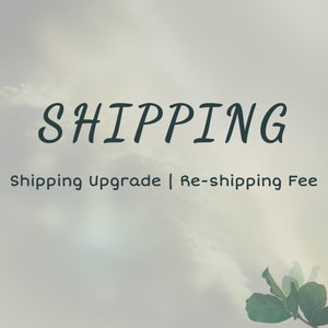 Additional Shipping Fee