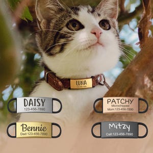 May include: Five different cat collar tags with personalised names and phone numbers. The tags are made of metal and have a black, silver, or gold finish. The names on the tags are Daisy, Bennie, Luna, Patchy, and Mitzy.