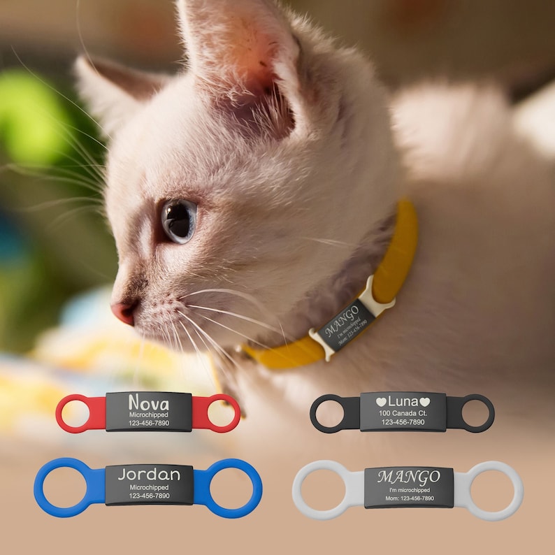 May include: A set of four rectangular pet ID tags with circular side attachments, available in red, black, blue, and white. Each tag features a central black plate engraved with a name, contact information, and the text Microchipped.