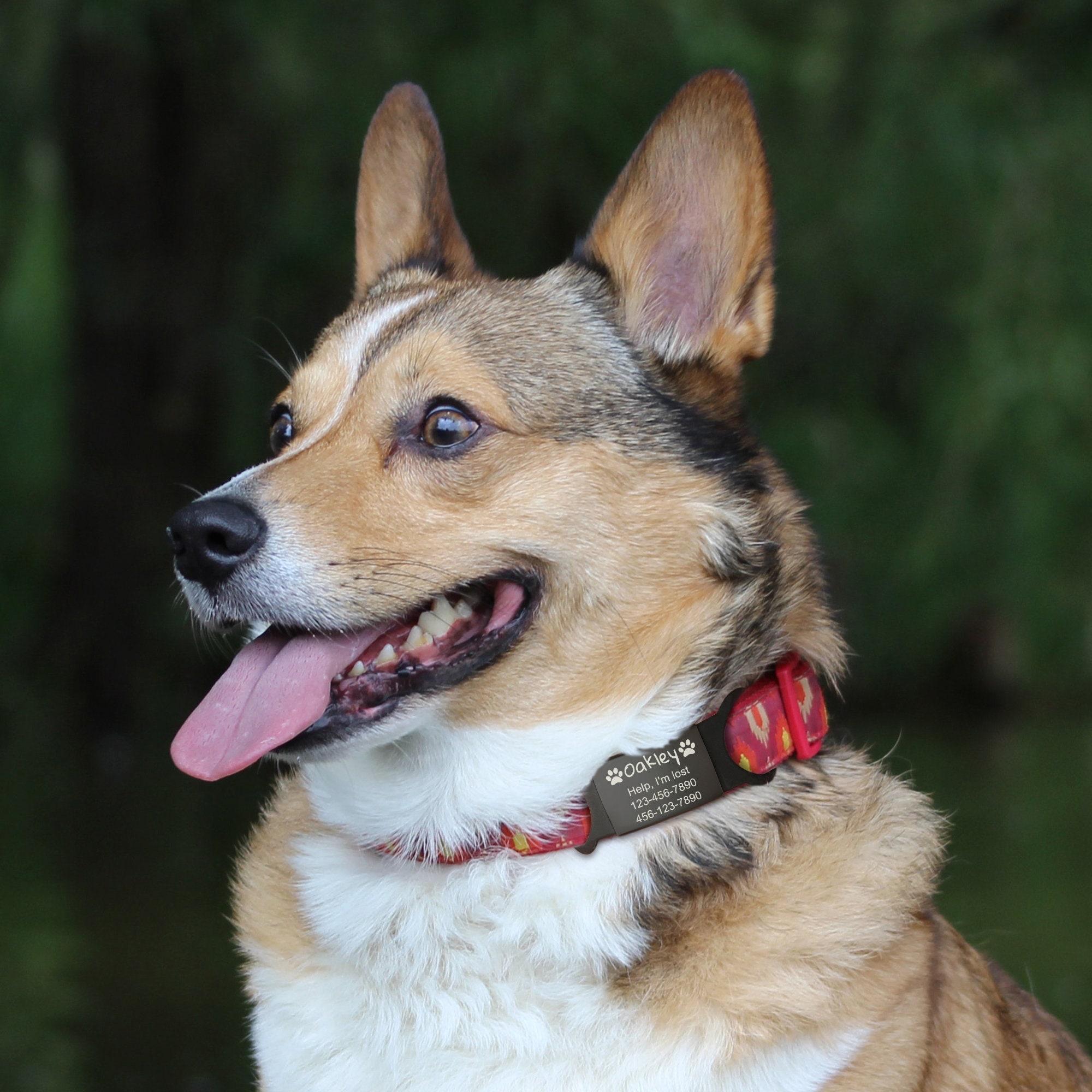 Custom Durable Slide Pet ID Tag🐶🐱,Personalized Name Silicone Dog Tag, Gift for Dog Owner