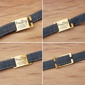May include: Gold dog tag with engraved text, "Bentley", "100 Canada Ct.", "City of Industry, CA", and "123-456-7890". The tag is attached to a gray and white patterned dog collar.