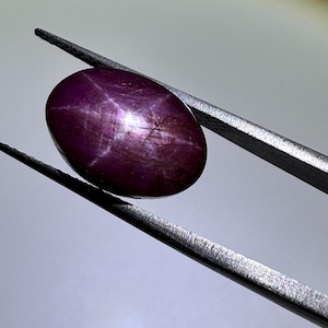Könnte beinhalten: Ein ovaler, tiefvioletter Sternrubin-Edelstein, der von einer Metallpinzette gehalten wird. Der im Cabochon-Schliff geschliffene Stein zeigt einen ausgeprägten sechsstrahligen Sterneffekt auf seiner Oberfläche sowie sichtbare interne Einschlüsse.