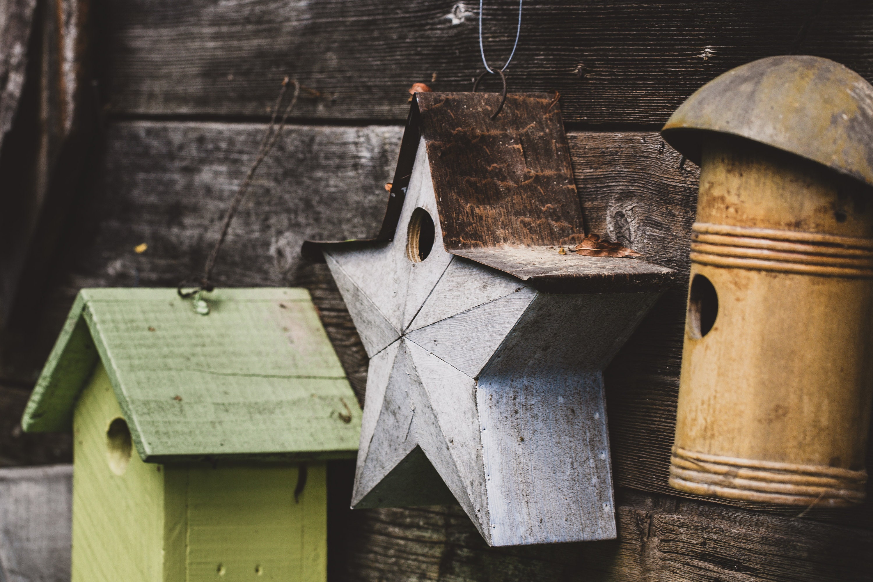 Birdhouse, Still Life, Photography, Fine Art, Print, Home Decor, Rustic