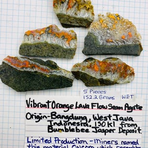 Peut inclure: Cinq morceaux d'agate de lave orange vif à veines de flux, pesant 152,2 grammes. L'agate provient du gisement de jaspe Bumblebee à Bandung, Java occidental, en Indonésie. Le texte sur l'étiquette indique : "Agate de lave orange vif à veines de flux Origine-Bandung, Java occidental Indonésie. 150kl du gisement de jaspe Bumblebee. Production limitée - Les mineurs ont appelé cette matière Oncom qui ressemble à une délicatesse alimentaire fermentée de la région."