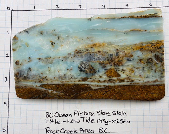 BC Ocean Picture Stone LOW TIDE Specimen Slab 193 Grams Etsy