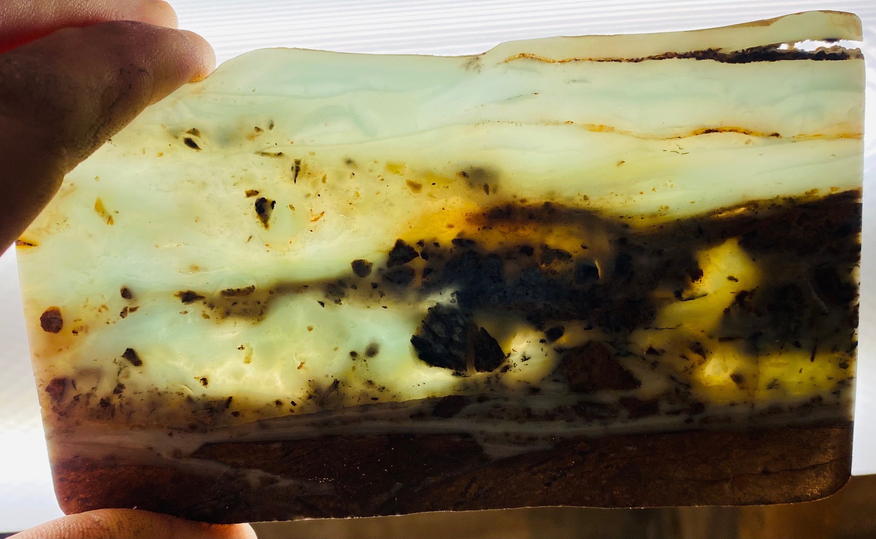 BC Ocean Picture Stone LOW TIDE Specimen Slab 193 Grams Etsy