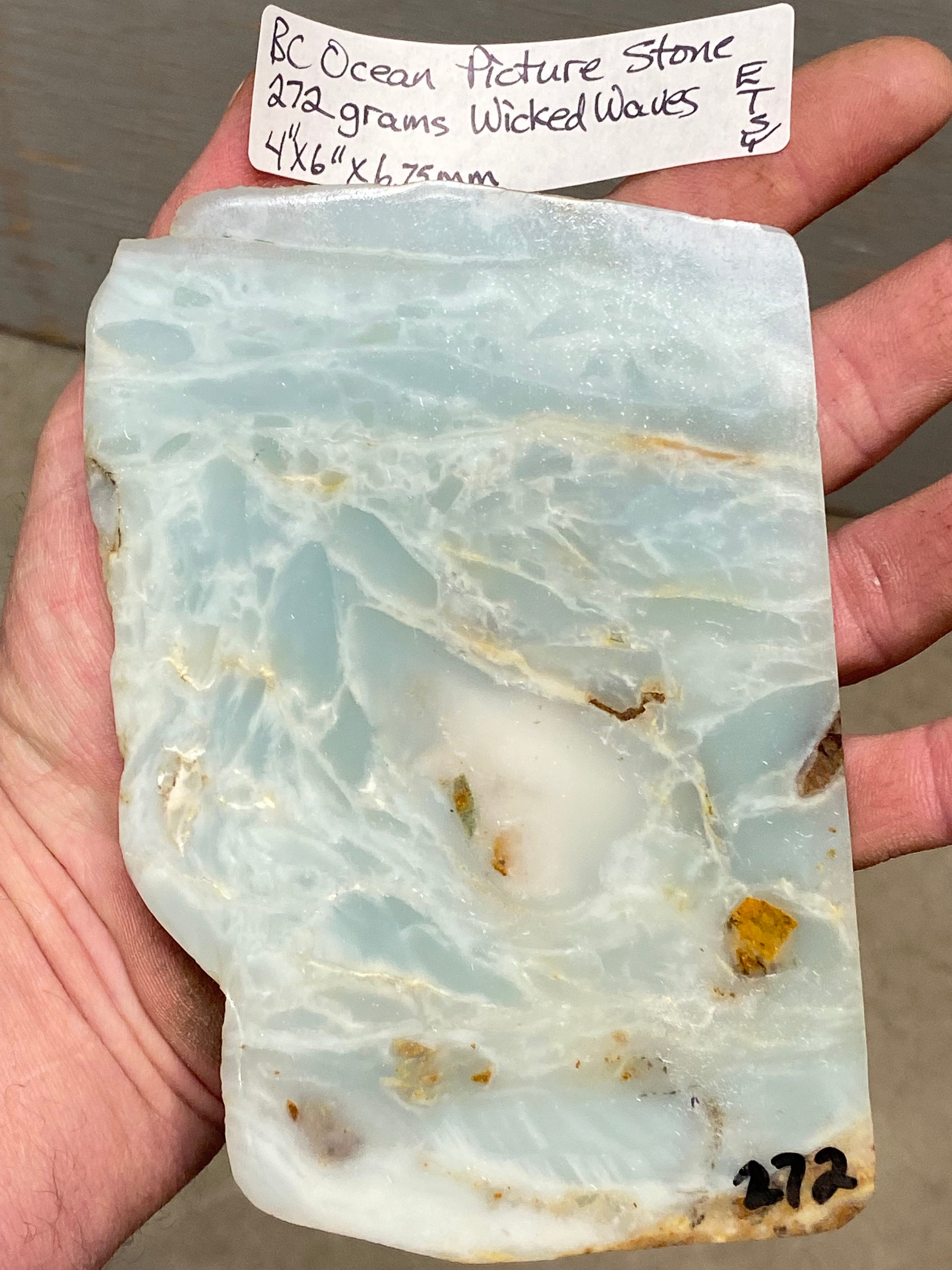 BC Ocean Picture Stone rough Home & Living Rocks & Geodes