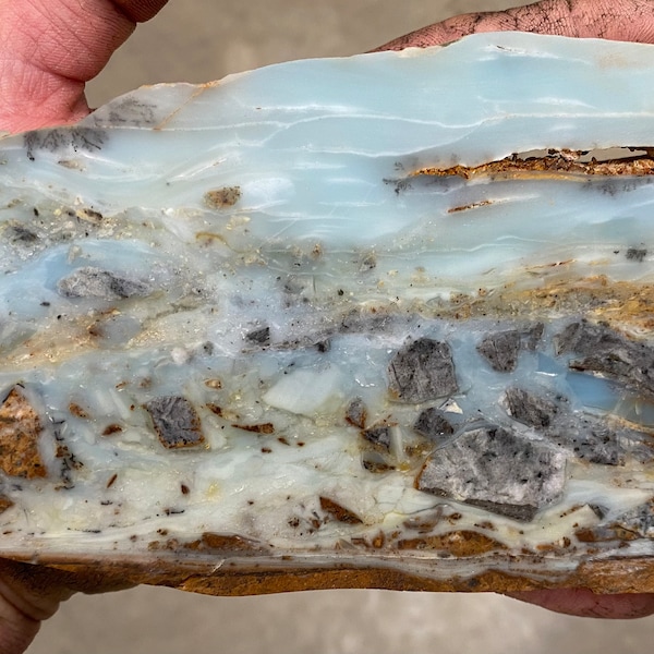 BC Ocean Picture Stone -LOW TIDE Specimen Slab -  266 Grams