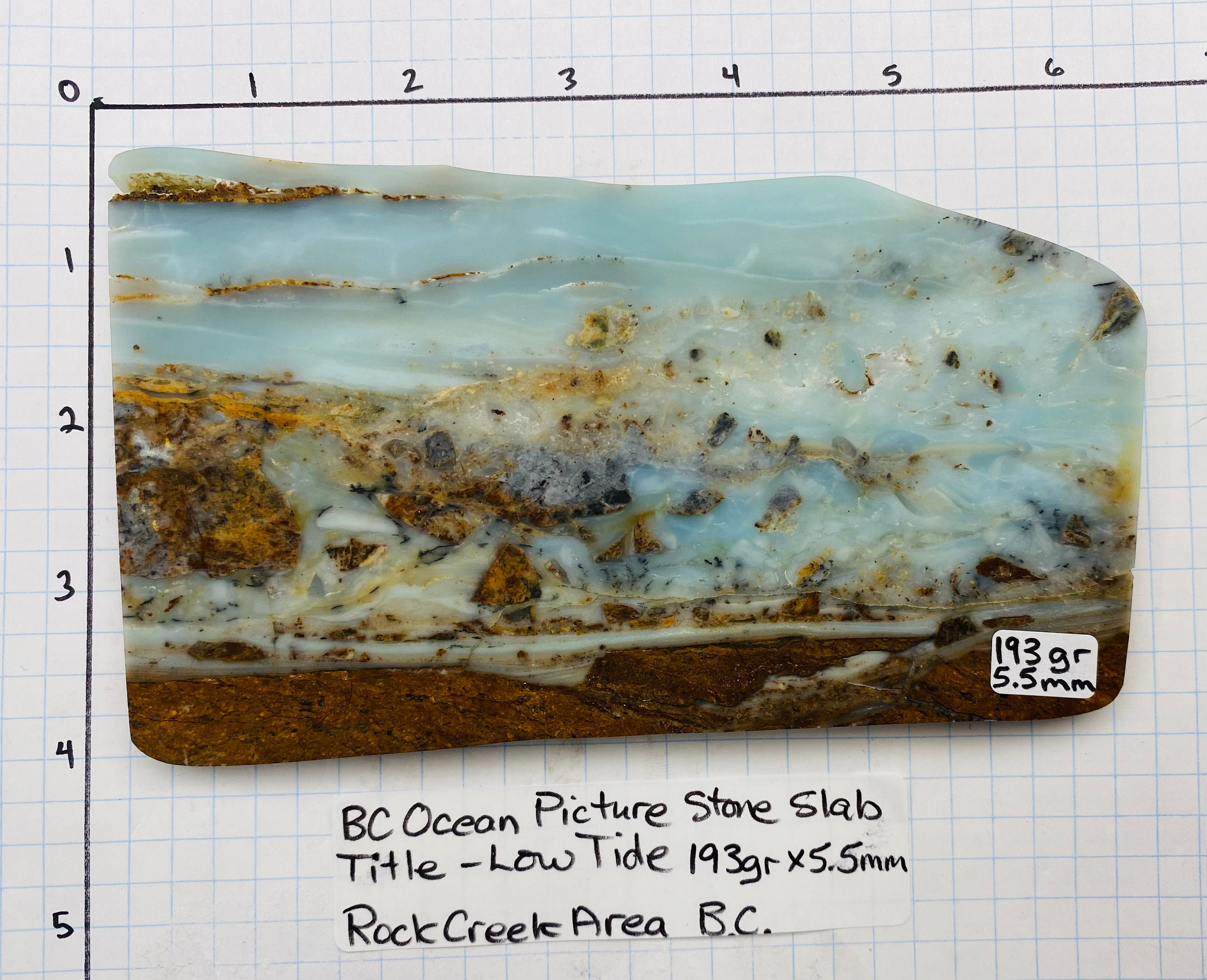 BC Ocean Picture Stone LOW TIDE Specimen Slab 193 Grams Etsy