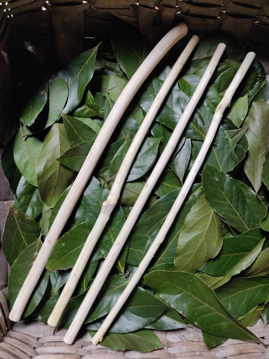 40 cm Laurel Bay Tree Sticks Branches Natural Rustic Wood Etsy