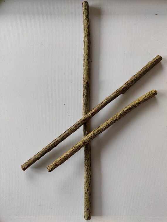 Bundle Hazel Sticks Branches 30 40 & 50 cm Natural Etsy