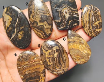Stromatolites Gemstone for Sale, AAA+ Quality Cabochon, Natural Semi-Precious Stone for Jewelry Making, Healing & Crafting Supplies