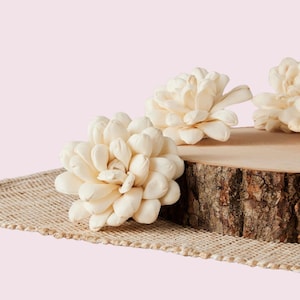 Halo - 3 inches - Sola Wood Flowers
