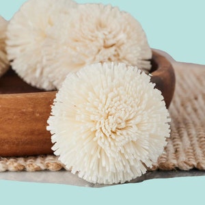 Pom Pom - 1.5 inches - Sola Wood Flower