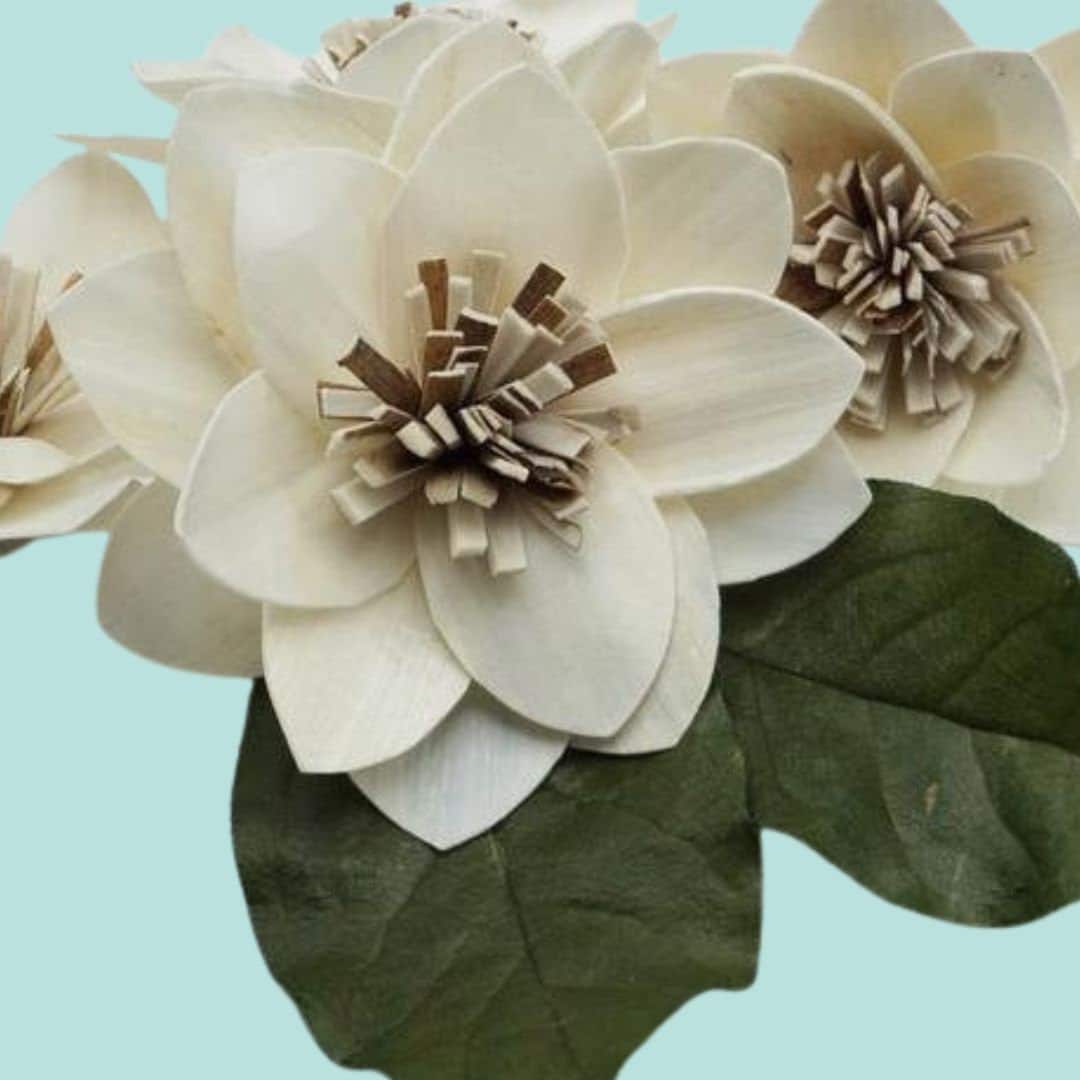 Twinkle - 4 Inches - Sola Wood Flower - Etsy