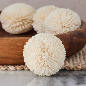 Pom Pom - 1 inch - Sola Wood Flower
