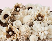 Wildflower Assortment - 50 Quantity - Sola Wood Flower - Etsy