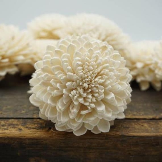 Zinny - 2.5 Inches - Sola Wood Flower - Etsy