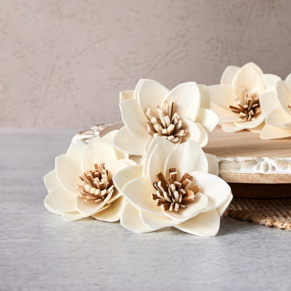 Twinkle - 2.5 Inches - Sola Wood Flower - Etsy