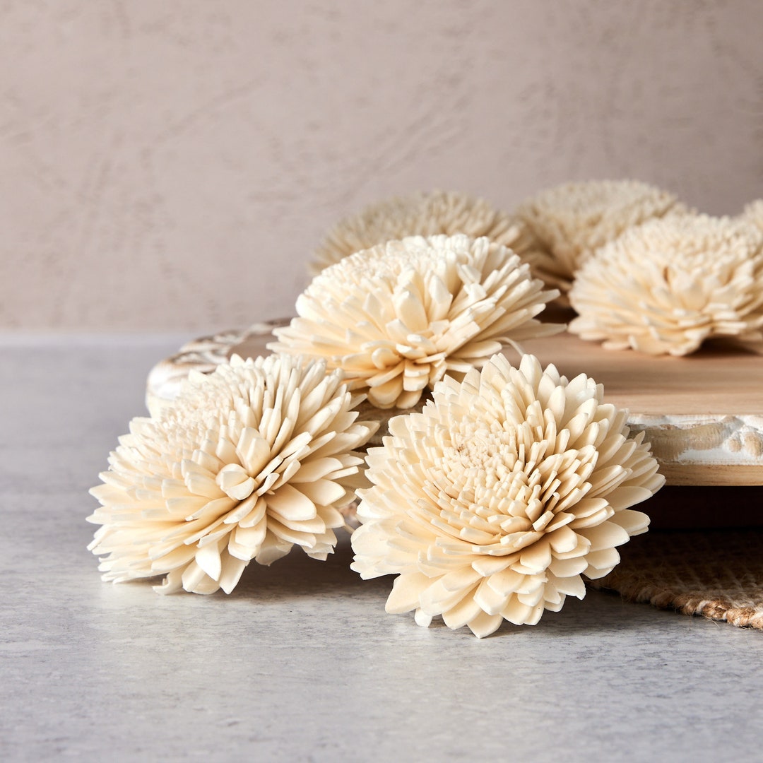 【w.o.d.】 F.L.O.W.E.R.S. Zinny - 2.5 Inches - Sola Wood Flower - Etsy