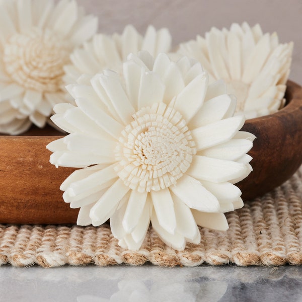 Daisy- 1.5 inches - Sola Wood Flower