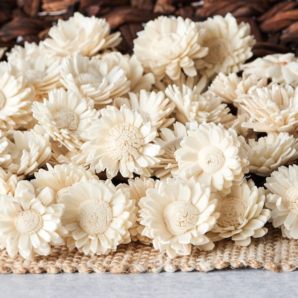 Sola Wood Flowers Etsy