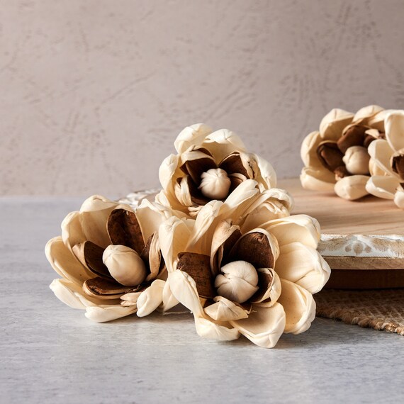 Hazel - 2.5 Inches - Sola Wood Flowers - Etsy