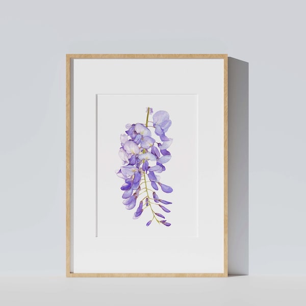 Affiche aquarelle botanique fleur bleue, Glycine