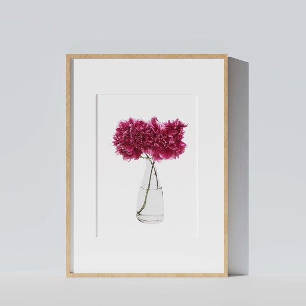 Botanical illustration of purple peonies vase