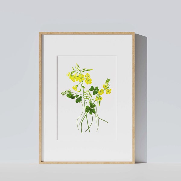 Wild flowers botanical illustration