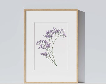 Affiche impression d'aquarelle de fleur bleue, Limonium