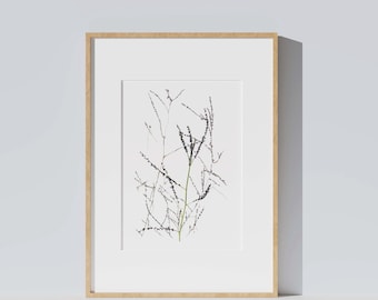 Affiche aquarelle minimaliste fleurs séchées, Perovskia