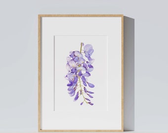 Affiche aquarelle botanique fleur bleue, Glycine