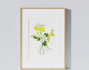 Affiche fleurs sauvages jaune aquarelle botanique, Oxalis