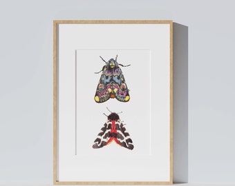 Naturalistic illustration of butterflies, gold and panther motif