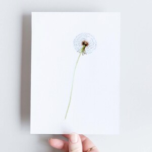 Dandelion botanical art card