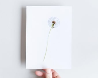 Dandelion botanical art card