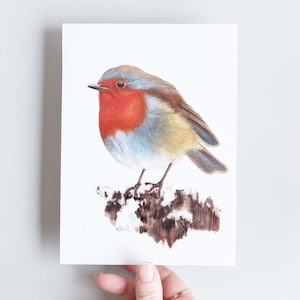 Carte de vœux représentant un rouge-gorge, pour offrir à Noël