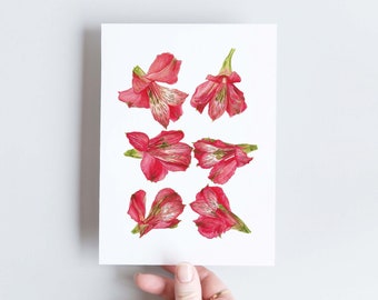 Floral Christmas card, Red Alstroemeria to send wishes