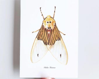 A6 illustrated card of butterflies with golden wings