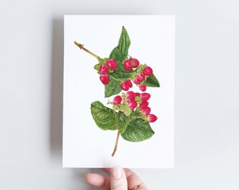 Red Hypericum botanical Christmas card, to wish best wishes