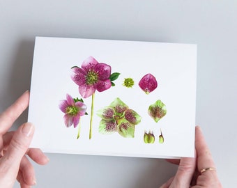 Carte de vœux de fleurs Hellébore botanique, à offrir pour Noël