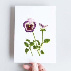 A6 botanical flower card, Pansy