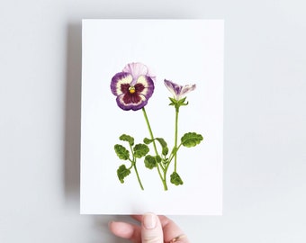 A6 botanical flower card, Pansy